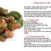 Cây Nho Bằng Ngọc Cổ
