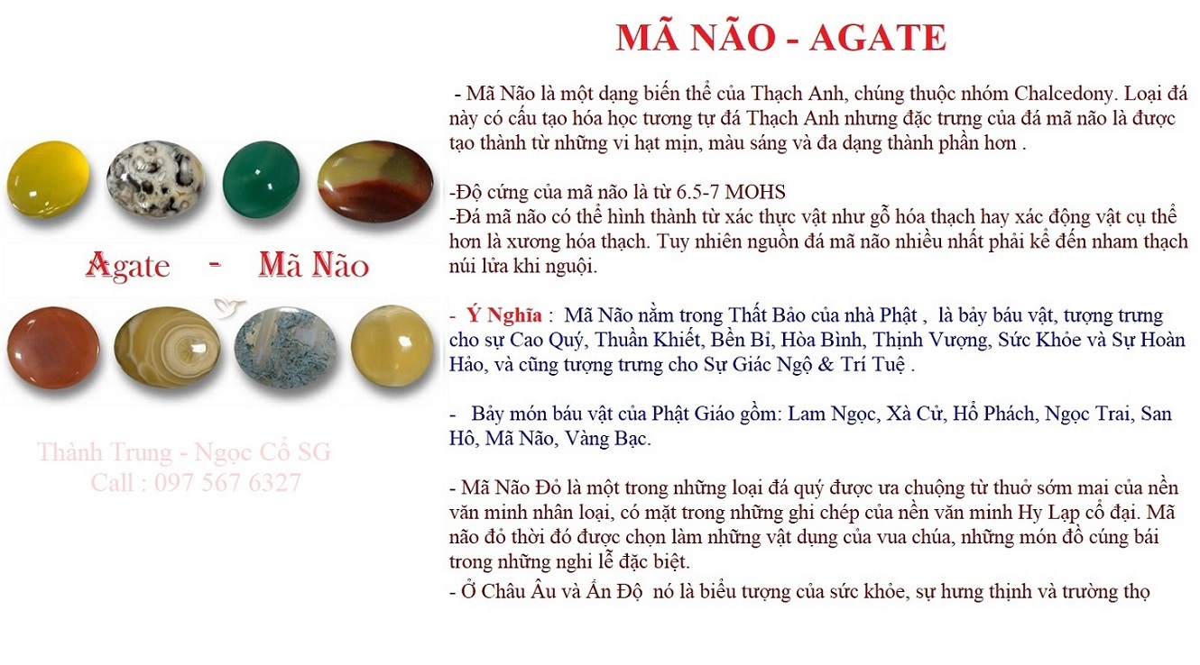 ý nghĩa của mã nào trong thất bảo nhà Phật